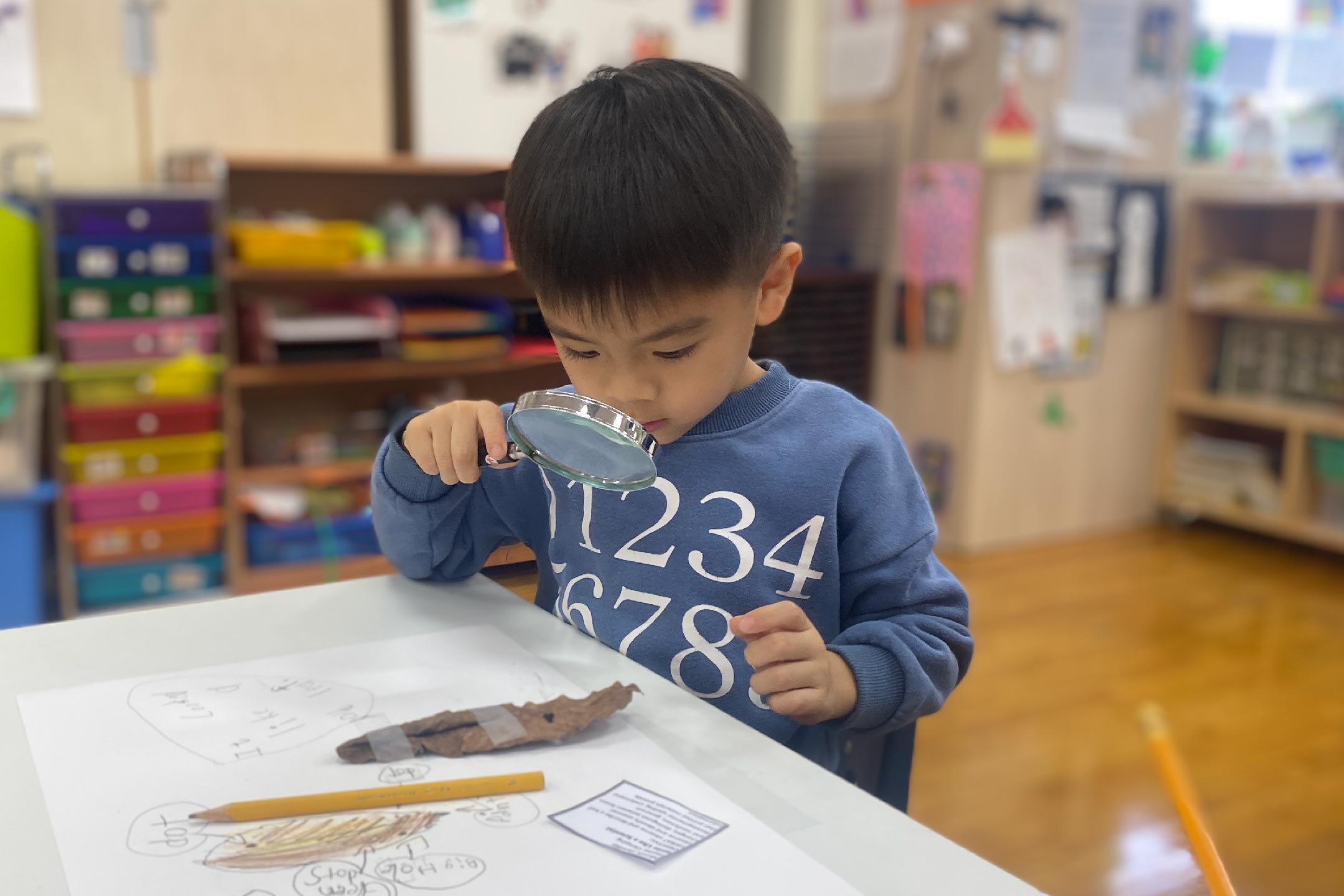 Pre-School Education in Taipei